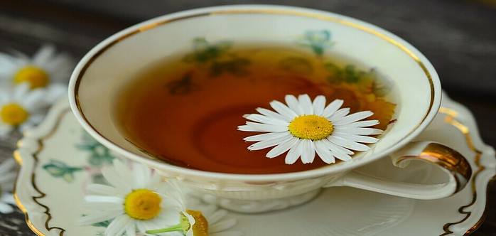 cup of chamomile tea with a daisy on top
