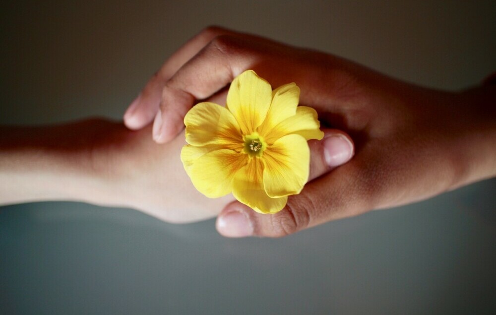 woman holding flower, man holding woman's hand